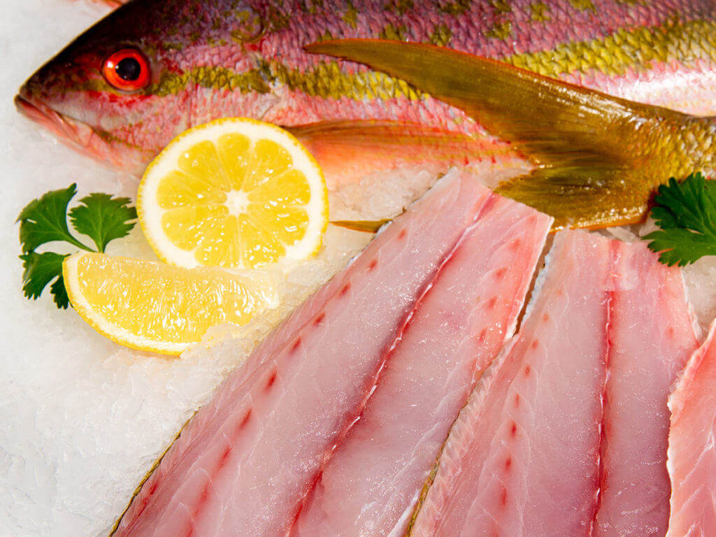 Canane Yellow Tail Snapper